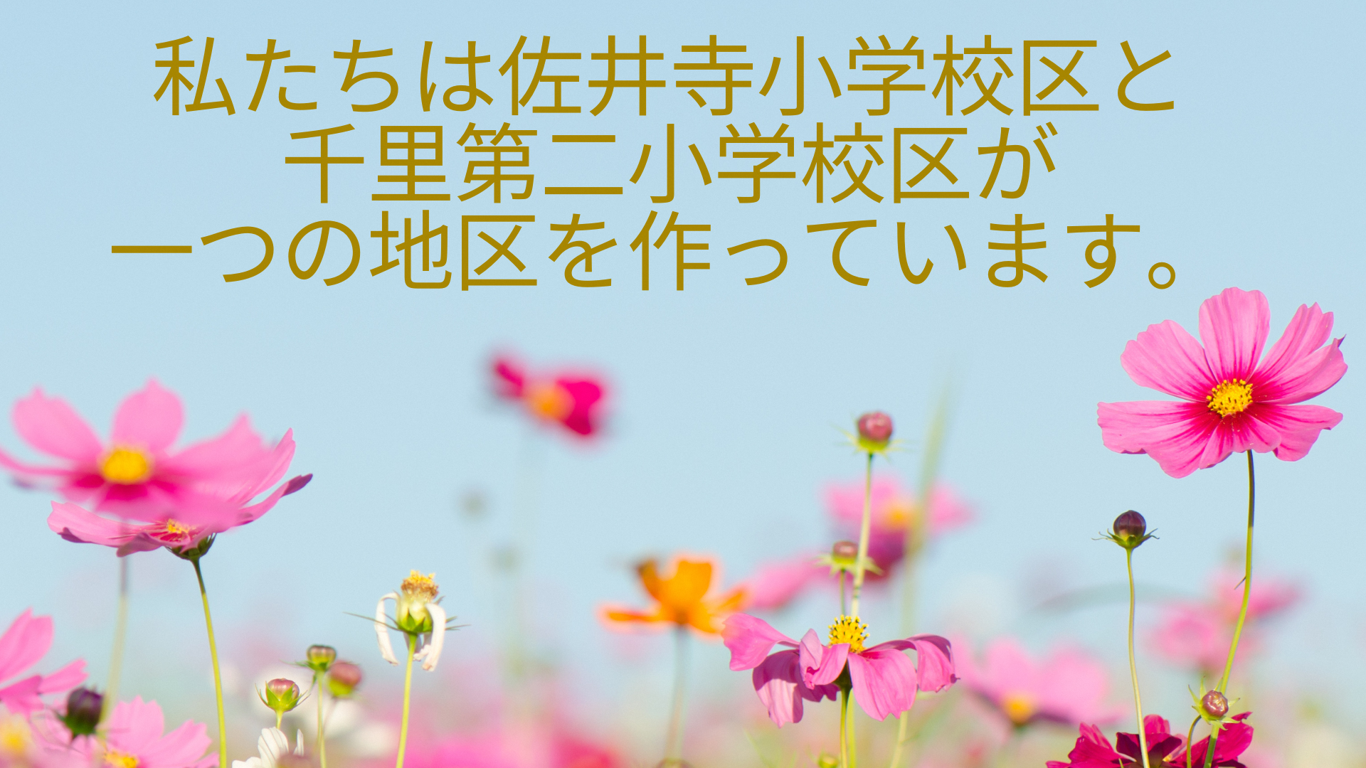 千二地区民生・児童委員協議会